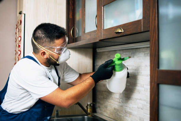 Best Pest Control Near Me in Garden Grove, CA