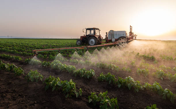 Best Pest Prevention Services  in Garden Grove, CA