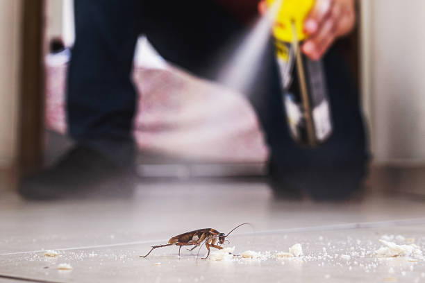 Best Affordable Pest Control Services  in Garden Grove, CA