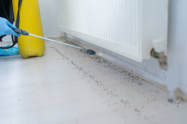 Best Ant Control Services  in Garden Grove, CA