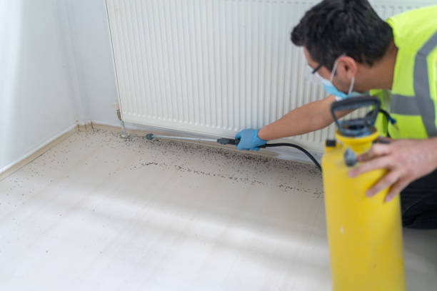 Best Affordable Pest Control Services  in Garden Grove, CA