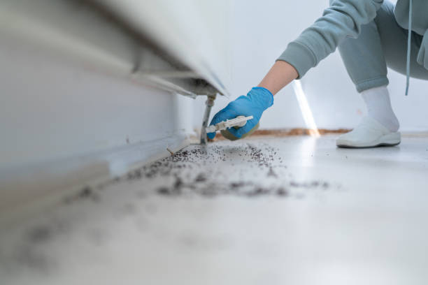 Professional Pest Control in Garden Grove, CA