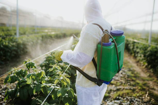 Best Bird Control  in Garden Grove, CA